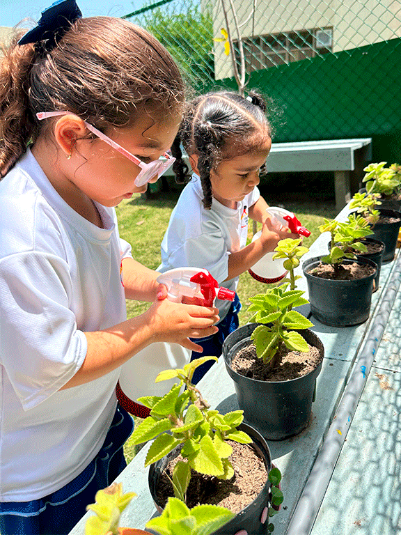 Kindergarten-exploracion